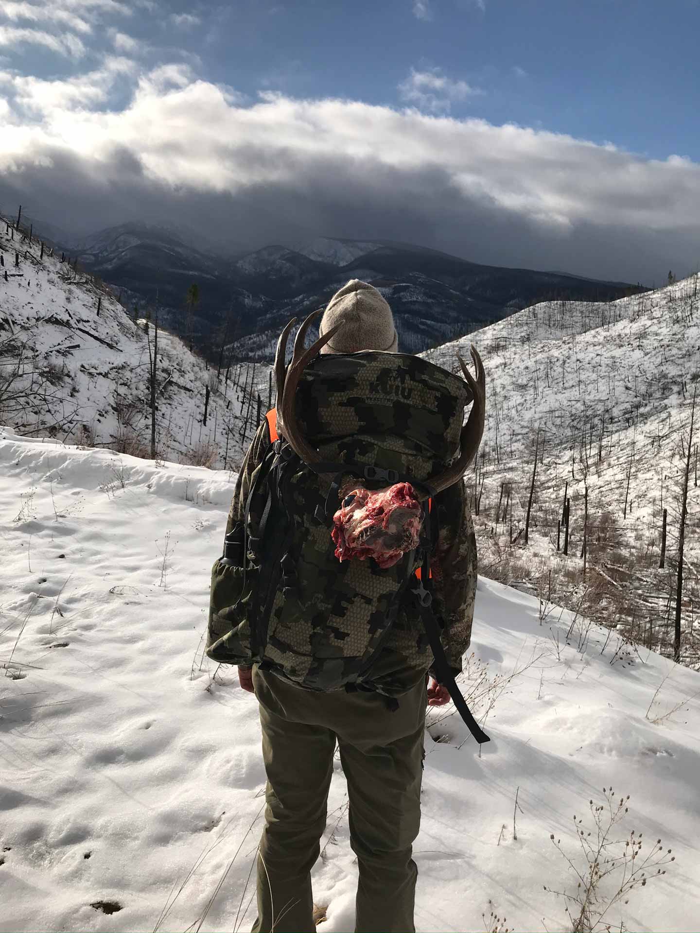 before-mountains