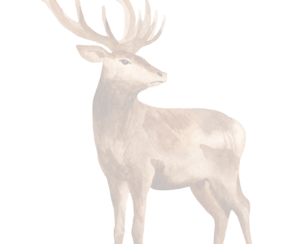 deer-painting deer-painting